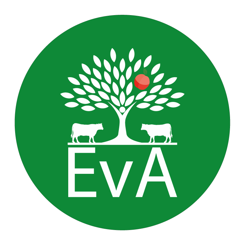 Entwicklung von Agroforstsystemen