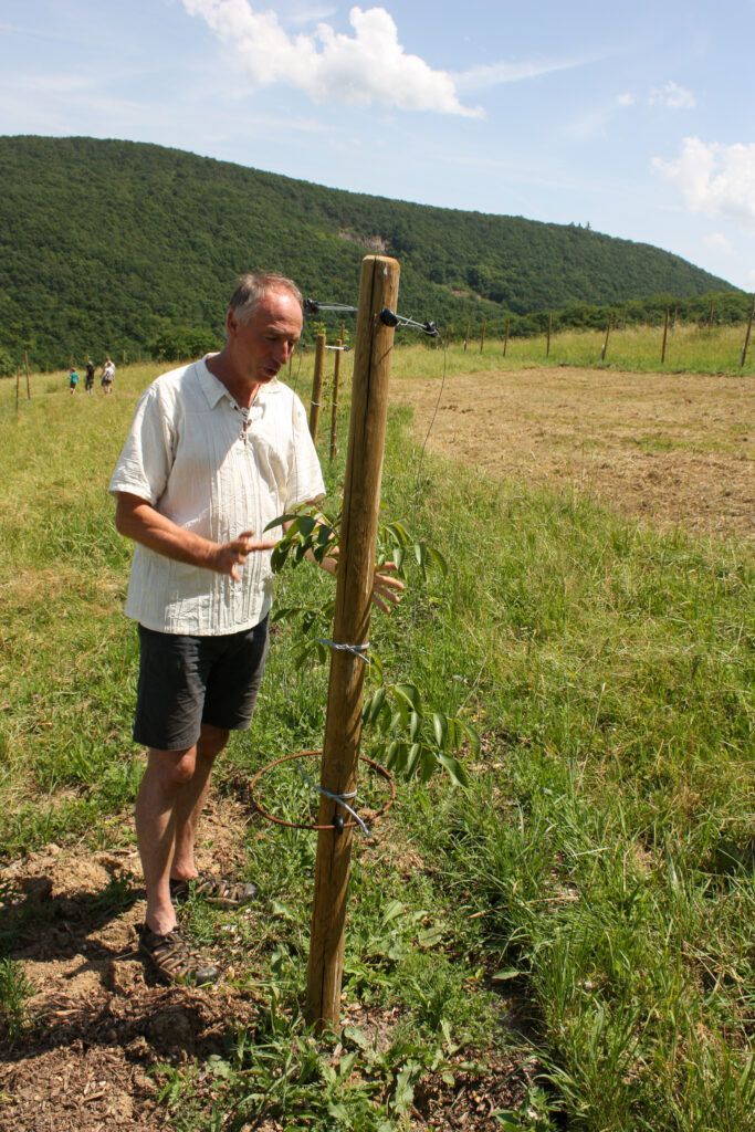 Hans erklärt den Aufbau des Verbisschutz